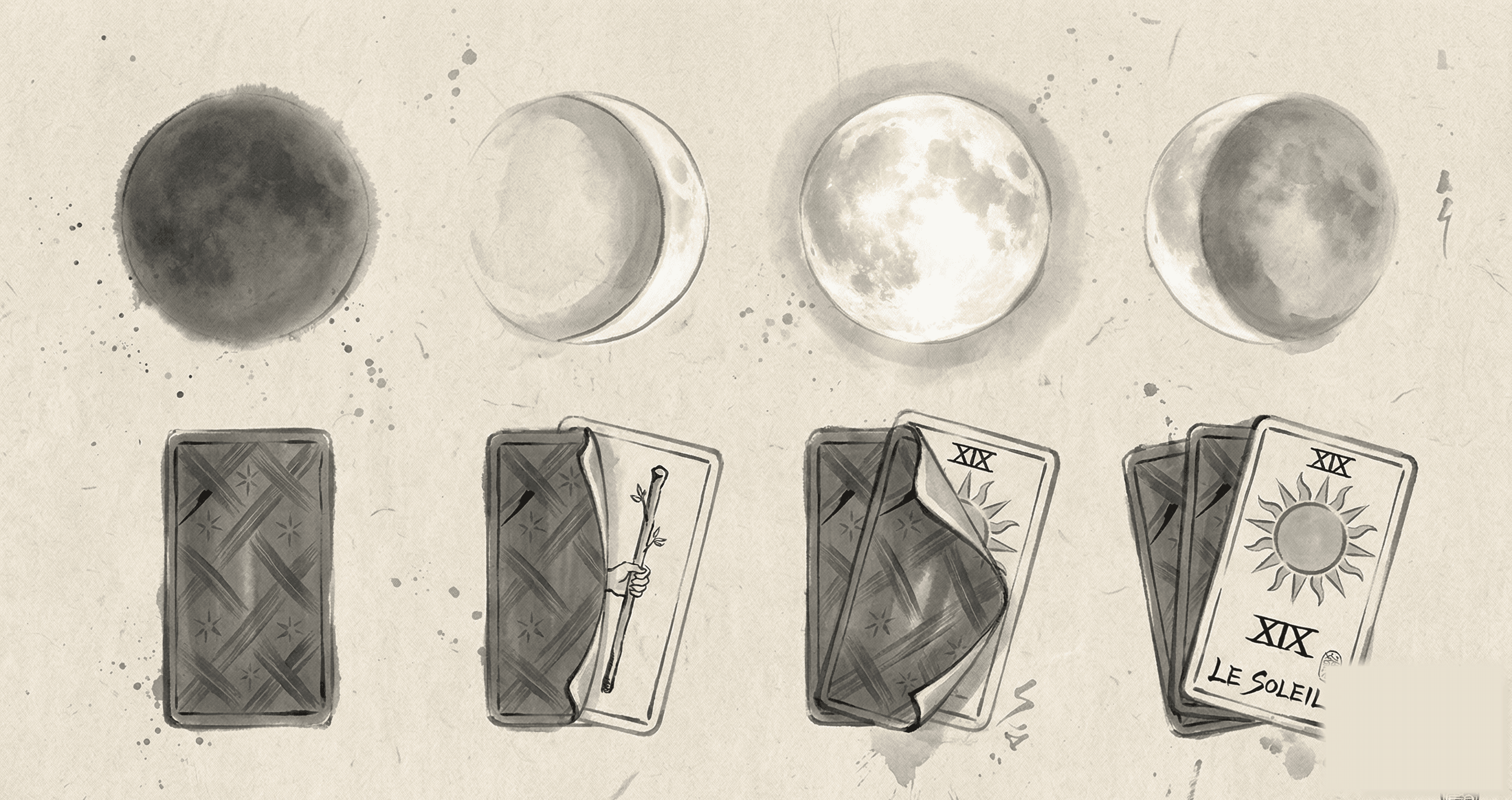 Lunar Cycle